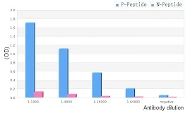 ELISA analysis of phospho- and non phosho- immunogen peptide using GTX02883 IRF3 (phospho Ser396) antibody. P-peptide : phospho-peptide N-peptide : non-phospho-peptide Peptides concentration : 1microg/ml