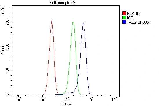 FACS analysis of U87 cells using GTX02891 TAB2 antibody. Blue : Primary antibody Green : Isotype control Red : Unlabelled cells Antibody amount : 1microg/1x106 cells