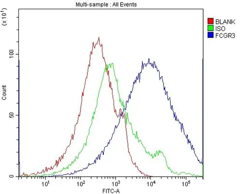 FACS analysis of human PBMC cells using GTX03379 CD16a antibody. Blue : Primary antibody Green : Isotype control> Red : Unlabelled sample Antibody amount : 1 microg/1x10? cells FACS analysis of human PBMC cells using GTX03379 CD16a antibody. Blue : Primary antibody Green : Isotype control> Red : Unlabelled sample Antibody amount : 1 microg/1x10? cells