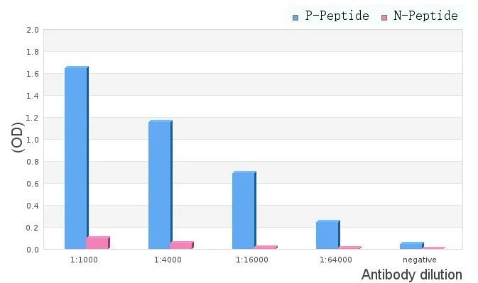 ELISA analysis of phospho- and non phosho- immunogen peptide using GTX03587 Doublecortin (phospho Ser335) antibody. P-peptide : phospho-peptide N-peptide : non-phospho-peptide Peptides concentration : 1microg/ml ELISA analysis of phospho- and non phosho- immunogen peptide using GTX03587 Doublecortin (phospho Ser335) antibody. P-peptide : phospho-peptide N-peptide : non-phospho-peptide Peptides concentration : 1microg/ml