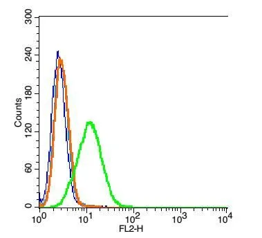 FACS analysis of A549 cells using GTX03641 Neutrophil elastase antibody. Green : Primary antibody Orange : Isotype control Blue : Control cells Light blue : Secondary Ab only Dilution : 1:100 FACS analysis of A549 cells using GTX03641 Neutrophil elastase antibody. Green : Primary antibody Orange : Isotype control Blue : Control cells Light blue : Secondary Ab only Dilution : 1:100
