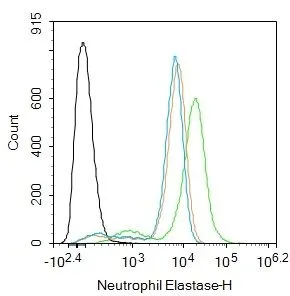 FACS analysis of 4% PFA-fixed THP-1 cells using GTX03641 Neutrophil elastase antibody. Acquisitions of 20,000 events were performed. Green : Primary antibody Orange : Isotype control Dilution : 1:100 Permeabilization : 0.1%PBST for 20 min at room temperature