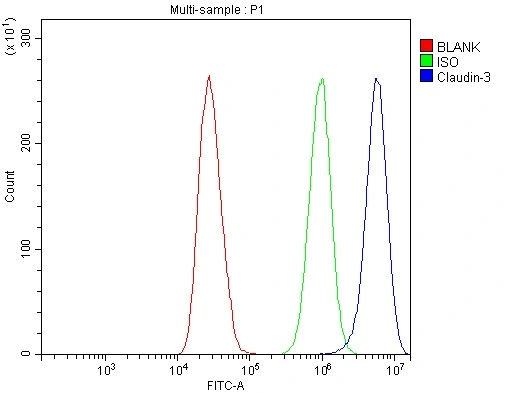 FACS analysis of MCF-7 cells using GTX03712 Claudin 3 antibody. Blue : Primary antibody Green : Isotype control Red : Unlabelled sample Antibody amount : 1microg/1x10? cells FACS analysis of MCF-7 cells using GTX03712 Claudin 3 antibody. Blue : Primary antibody Green : Isotype control Red : Unlabelled sample Antibody amount : 1microg/1x10? cells