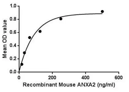 Functional ELISA analysis of GTX00332-pro Mouse Annexin II protein which can bind immobilized S100A10 protein. Functional ELISA analysis of GTX00332-pro Mouse Annexin II protein which can bind immobilized S100A10 protein.
