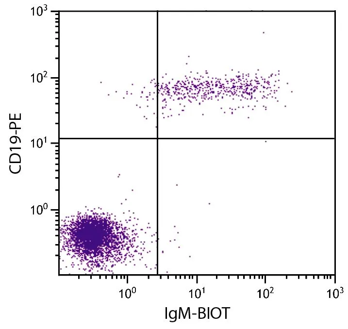 FACS analysis of human peripheral blood lymphocytes using Mouse Anti-Human CD19 antibody (PE) followed by GTX04121-02 Goat Anti-Human IgM (Mu chain) antibody, F(ab)2 fragment, pre-adsorbed (Biotin) followed by Streptavidin (FITC).