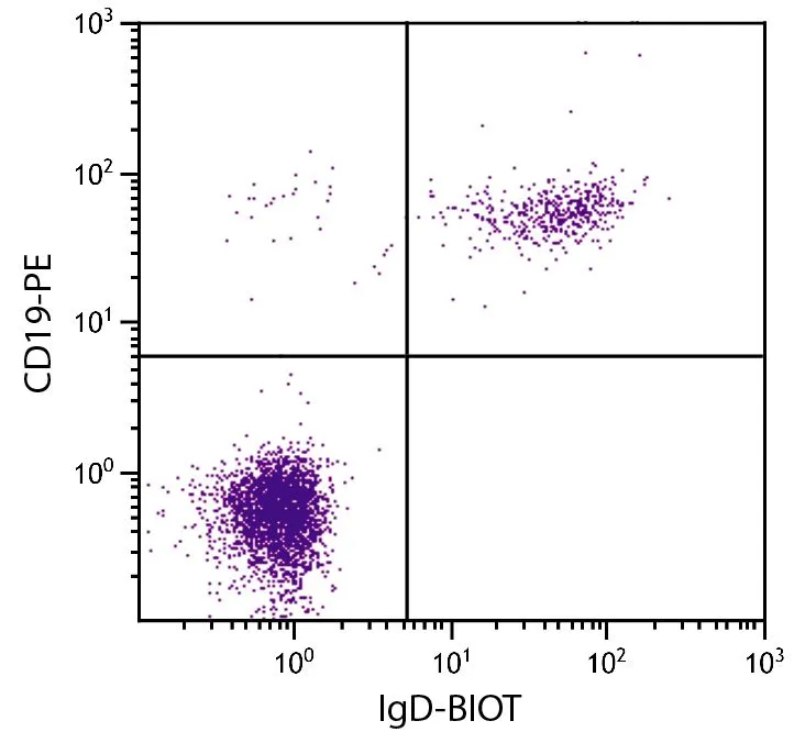 FACS analysis of human peripheral blood lymphocytes using Mouse Anti-Human CD19 antibody (PE) followed by GTX04124-02 Goat Anti-Human IgD (Heavy chain) antibody, F(ab)2 fragment, pre-adsorbed (Biotin) followed by Streptavidin (FITC).