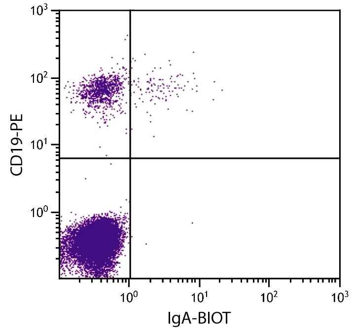 FACS analysis of human peripheral blood lymphocytes using Mouse Anti-Human CD19 antibody (PE) followed by GTX04126-02 Goat Anti-Human IgA (Heavy chain) antibody, pre-adsorbed (Biotin) followed by Streptavidin (FITC).