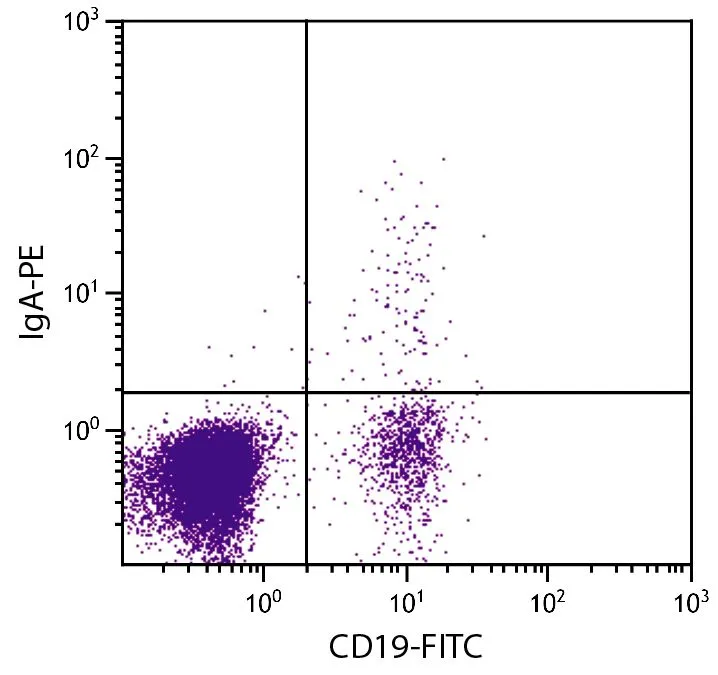 FACS analysis of human peripheral blood lymphocytes using Mouse Anti-Human CD19 antibody (FITC) and GTX04127-08 Goat Anti-Human IgA (Heavy chain) antibody, F(ab)2 fragment, pre-adsorbed (PE).