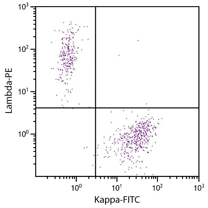 FACS analysis of CD19+ human B-lymphocytes using Goat Anti-Human Lambda antibody, F(ab)2 fragment, pre-absorbed (PE) and GTX04131-06 Goat Anti-Human kappa light chain antibody, F(ab)2 fragment, pre-adsorbed (FITC).