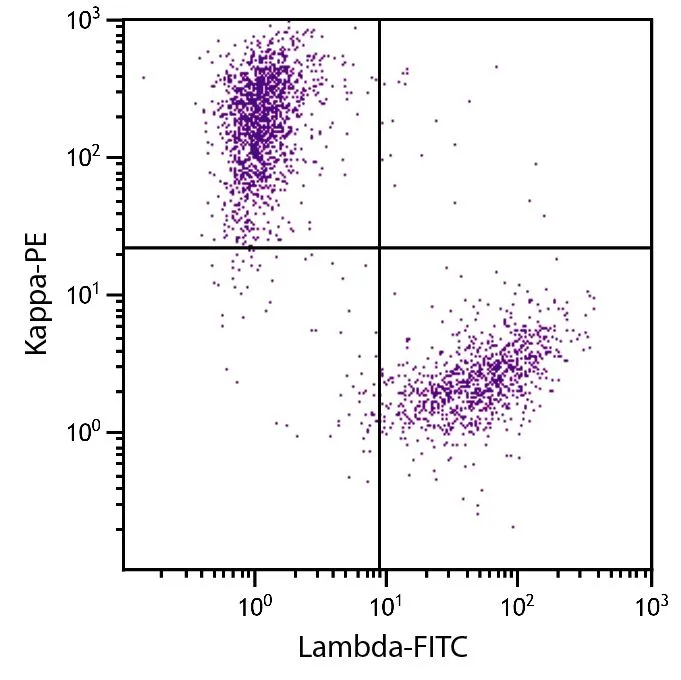 FACS analysis of CD19+ human B-lymphocytes using Goat Anti-Human Lambda antibody, F(ab)2 fragment, pre-absorbed (FITC) and GTX04131-08 Goat Anti-Human kappa light chain antibody, F(ab)2 fragment, pre-adsorbed (PE).