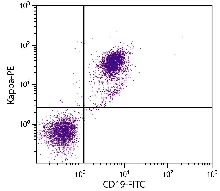 FACS analysis of BALB/c mouse splenocytes using Rat Anti-Mouse CD19 antibody (FITC) and GTX04201-08 Goat Anti-Mouse kappa light chain antibody, pre-adsorbed (PE).