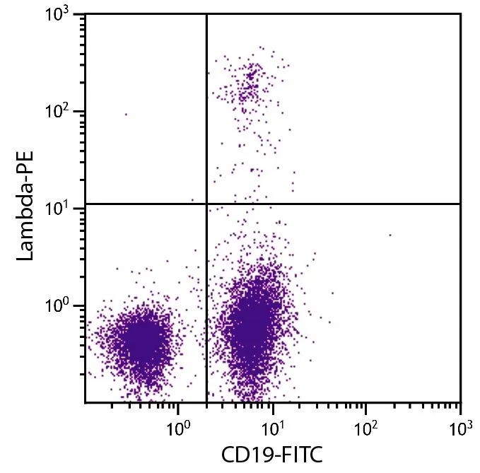 FACS analysis of BALB/c mouse splenocytes using Rat Anti-Mouse CD19 antibody (FITC) and GTX04203-08 Goat Anti-Mouse lambda light chain antibody, pre-adsorbed (PE).