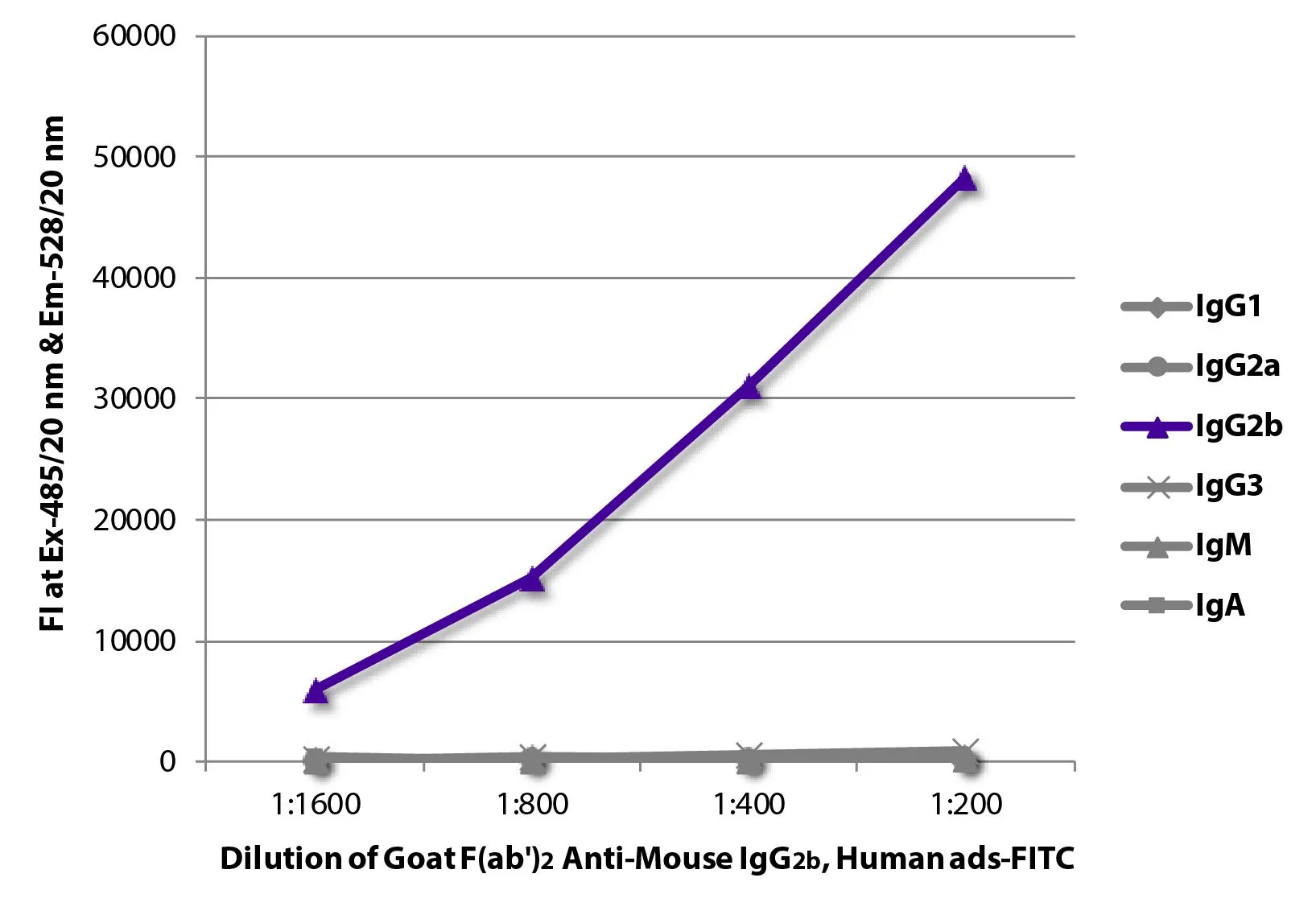 ELISA analysis of purified mouse immunoglobulins using serially diluted GTX04216-06 Goat Anti-Mouse IgG2b (Heavy chain) antibody, F(ab)2 fragment, pre-adsorbed (FITC). ELISA analysis of purified mouse immunoglobulins using serially diluted GTX04216-06 Goat Anti-Mouse IgG2b (Heavy chain) antibody, F(ab)2 fragment, pre-adsorbed (FITC).