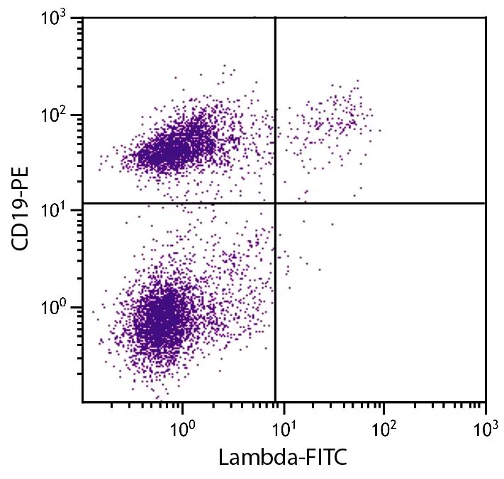 FACS analysis of C57BL/6 mouse splenocytes using Rat Anti-Mouse CD19 antibody (PE) and GTX04229-06 Rat Anti-Mouse lambda light chain antibody [JC5-1] (FITC).