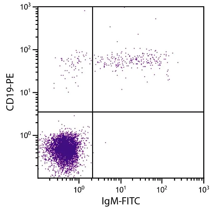 FACS analysis of human peripheral blood lymphocytes using GTX04300-06 Mouse anti-Human IgM antibody [SA-DA4] (FITC) and Mouse anti-Human CD19 antibody (PE).
