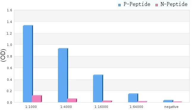 ELISA analysis of phospho- and non phosho- immunogen peptide using serial diluted GTX04327 DEPDC5 (phospho Ser1002) antibody. P-peptide : phospho-peptide N-peptide : non-phospho-peptide Peptides concentration : 1microg/ml ELISA analysis of phospho- and non phosho- immunogen peptide using serial diluted GTX04327 DEPDC5 (phospho Ser1002) antibody. P-peptide : phospho-peptide N-peptide : non-phospho-peptide Peptides concentration : 1microg/ml
