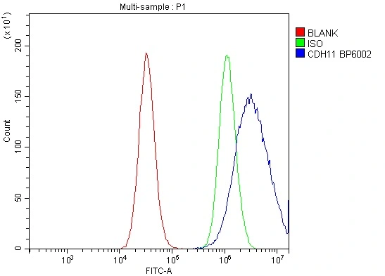 FACS analysis of PC-3 cells using GTX04544 CDH11 antibody. Blue : Primary antibody Green : Isotype control Red : Unlabelled sample Dilution : 1 microg/1x10? cells FACS analysis of PC-3 cells using GTX04544 CDH11 antibody. Blue : Primary antibody Green : Isotype control Red : Unlabelled sample Dilution : 1 microg/1x10? cells