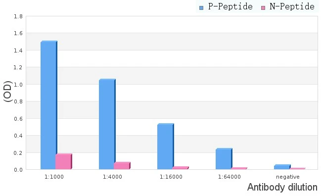 ELISA analysis of phospho- and non phosho- immunogen peptide using serial diluted GTX04588 GCN2 (phospho Thr899) antibody. P-peptide : phospho-peptide N-peptide : non-phospho-peptide Peptides concentration : 1 microg/mL ELISA analysis of phospho- and non phosho- immunogen peptide using serial diluted GTX04588 GCN2 (phospho Thr899) antibody. P-peptide : phospho-peptide N-peptide : non-phospho-peptide Peptides concentration : 1 microg/mL