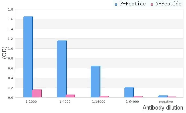 ELISA analysis of phospho- and non phosho- immunogen peptide using serial diluted GTX04593 PKC beta 1 (phospho Ser661) antibody. P-peptide : phospho-peptide N-peptide : non-phospho-peptide Peptides concentration : 1 microg/mL ELISA analysis of phospho- and non phosho- immunogen peptide using serial diluted GTX04593 PKC beta 1 (phospho Ser661) antibody. P-peptide : phospho-peptide N-peptide : non-phospho-peptide Peptides concentration : 1 microg/mL