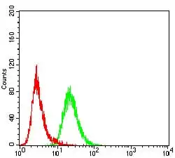 FACS analysis of HeLa cells using GTX04628 FBXL10 antibody [6F6G11]. Green : Primary antibody Red : Negative control