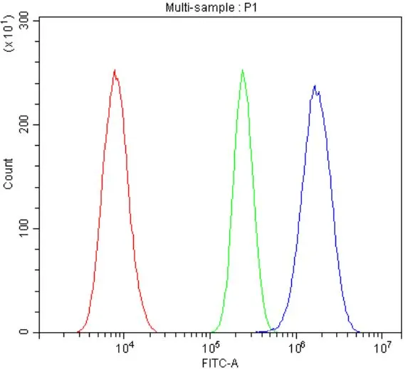 FACS analysis of NRK cells using GTX04641 IL3 Receptor beta antibody. Blue : Primary antibody Green : Isotype control Red : Unlabelled sample Dilution : 1 microg/1 x 10? FACS analysis of NRK cells using GTX04641 IL3 Receptor beta antibody. Blue : Primary antibody Green : Isotype control Red : Unlabelled sample Dilution : 1 microg/1 x 10?