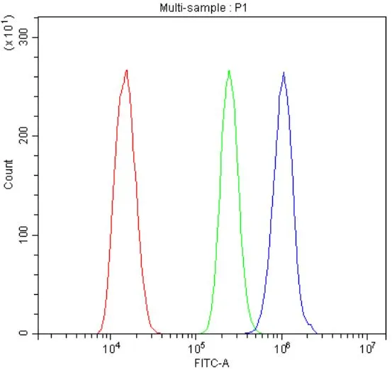 FACS analysis of ANA-1 cells using GTX04641 IL3 Receptor beta antibody. Blue : Primary antibody Green : Isotype control Red : Unlabelled sample Dilution : 1 microg/1 x 10?