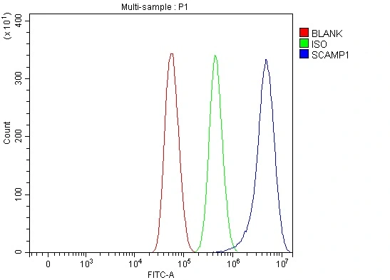 FACS analysis of U87 cells using GTX04672 SCAMP1 antibody. Blue line: Primary antibody Green line: Isotype control Red line: Unlabelled sample Dilution : 1 microg/1x10? cells