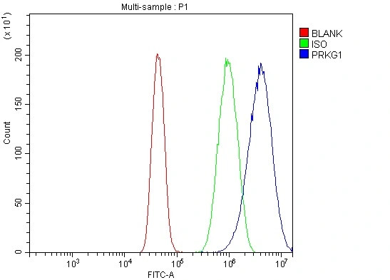 FACS analysis of U251 cells using GTX04678 cGK1 antibody. Blue : Primary antibody Green : Isotype control Red : Unlabelled sample Dilution : 1microg/1x10? cells FACS analysis of U251 cells using GTX04678 cGK1 antibody. Blue : Primary antibody Green : Isotype control Red : Unlabelled sample Dilution : 1microg/1x10? cells