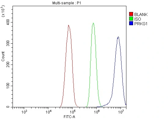 FACS analysis of RH35 cells using GTX04678 cGK1 antibody. Blue : Primary antibody Green : Isotype control Red : Unlabelled sample Dilution : 1microg/1x10? cells