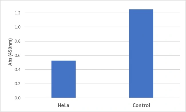 Competitive ELISA detecting cGMP in HeLa cells. The 96-well plate was coated with 1 microg/mL of Goat anti-rabbit IgG (50 microl/well). 0.05 microg/ml of GTX04680 cGMP antibody [RM467] (50 microl/well) was added and incubated. After wash and block, HeLa cell lysate (~10?cell/mL) or control (lysate buffer only) (25 microl/well) were added along with 25 microl/well of 1:5000 diluted HRP conjugated cGMP.