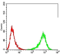 FACS analysis of Raji cells using GTX04701 CD79a antibody [4A10D12]. Green : Primary antibody Red : Negative control