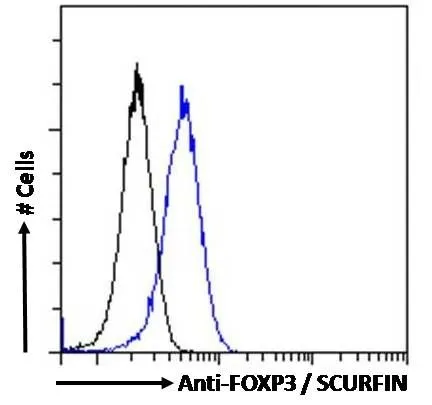 FACS analysis of PFA-fixed Jurkat cells using GTX04725 FOXP3 antibody. Blue : Primary antibody Black : Isotype control Permeabilization : 0.5% Triton Dilution : 10 microg/mL FACS analysis of PFA-fixed Jurkat cells using GTX04725 FOXP3 antibody. Blue : Primary antibody Black : Isotype control Permeabilization : 0.5% Triton Dilution : 10 microg/mL