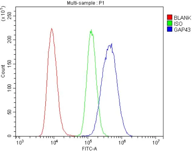 FACS analysis of Raji cells using GTX04779 GAP43 antibody. Blue : Primary antibody Green : Isotype control Red : Unlabelled sample Dilution : 1 microg/10? cells FACS analysis of Raji cells using GTX04779 GAP43 antibody. Blue : Primary antibody Green : Isotype control Red : Unlabelled sample Dilution : 1 microg/10? cells