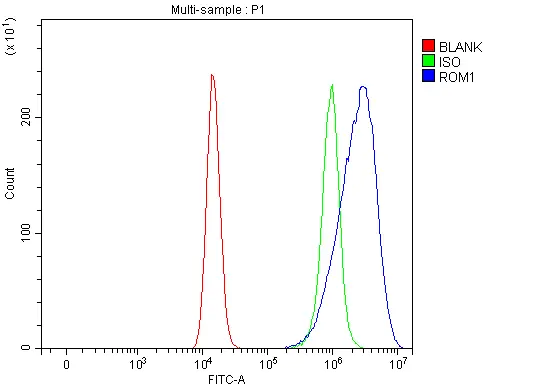 FACS analysis of HEL cells using GTX04781 ROM1 antibody. Blue : Primary antibody Green : Isotype control Red : Unlabelled sample Dilution : 1 microg/10? cells FACS analysis of HEL cells using GTX04781 ROM1 antibody. Blue : Primary antibody Green : Isotype control Red : Unlabelled sample Dilution : 1 microg/10? cells