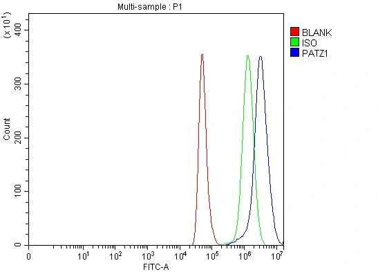 FACS analysis of 4% PFA-fixed HeLa cells using GTX04950 PATZ1 antibody. Blue line : Primary antibody Green line : Isotype control Red line : Unlabelled sample Dilution : 1 microg/1x10? cells Permeabilization: PBS with saponin and triton FACS analysis of 4% PFA-fixed HeLa cells using GTX04950 PATZ1 antibody. Blue line : Primary antibody Green line : Isotype control Red line : Unlabelled sample Dilution : 1 microg/1x10? cells Permeabilization: PBS with saponin and triton