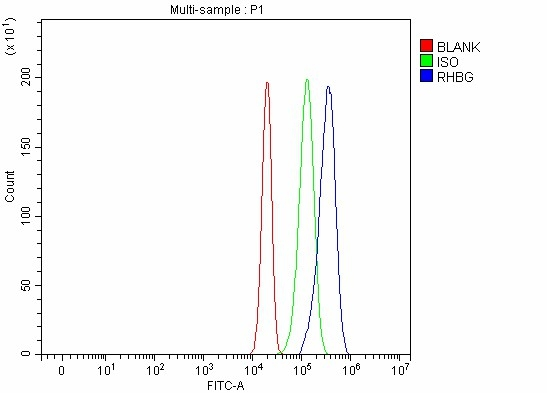 FACS analysis of 4% PFA-fixed RT4 cells using GTX04977 RHBG antibody. Blue line : Primary antibody Green line : Isotype control Red line : Blank control Dilution : 1 microg/1x10??cells FACS analysis of 4% PFA-fixed RT4 cells using GTX04977 RHBG antibody. Blue line : Primary antibody Green line : Isotype control Red line : Blank control Dilution : 1 microg/1x10??cells