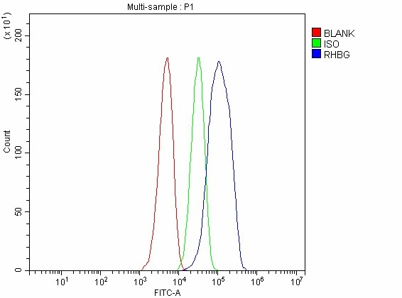 FACS analysis of 4% PFA-fixed HepG2 cells using GTX04977 RHBG antibody. Blue line : Primary antibody Green line : Isotype control Red line : Blank control Dilution : 1 microg/1x10??cells