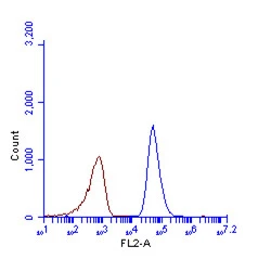 SQSTM1 antibody [N3C1],Internal (GTX100685) detects SQSTM1 protein by flow cytometry analysis.