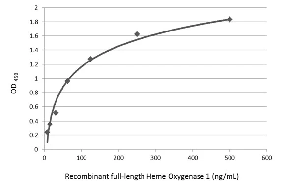 Sandwich ELISA detection of recombinant full-length Heme Oxygenase 1 protein using GTX633677 as capture antibody at concentration of 5 μg/mL and GTX101147 as detection antibody at concentration of 1 μg/mL. Rabbit IgG antibody (HRP) (GTX213110-01) was diluted at 1:10000 and used to detect the primary antibody.