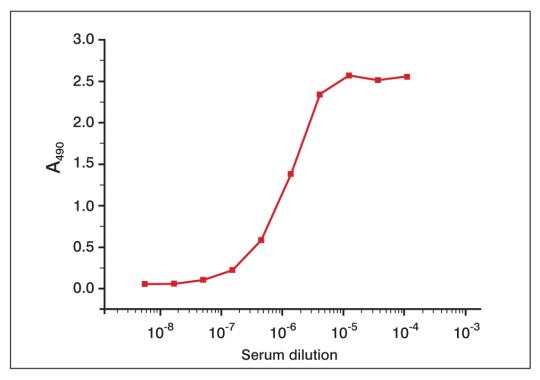 Titration of human serum in two albumin sandwich immunoassays. Human Albumin antibody [15C7] (GTX10241) for capture and Human Albumin antibody [1A9] (GTX10242) for detection