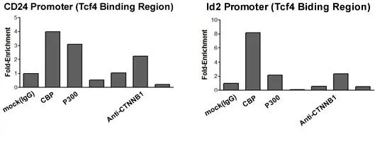 ChIP analysis of HCT116 cells using GTX10342 CTNNB1 antibody. Cells were prepared using the Farnham ChIP protocol. Use 2microg antibody GTX10342 CTNNB1 antibody for ChIP assay.
