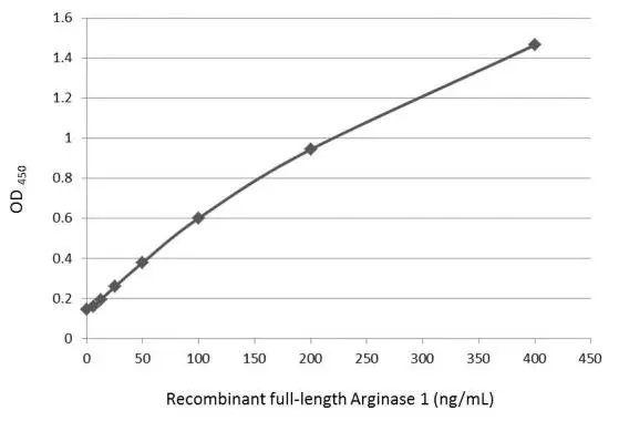 Sandwich ELISA detection of recombinant full-length Arginase 1 protein using GTX109242 as capture antibody at concentration of 5 μg/mL and GTX634218 as detection antibody at concentration of 1 μg/mL. Mouse IgG antibody (HRP) (GTX213111-01) was diluted at 1:10000 and used to detect the primary antibody.
