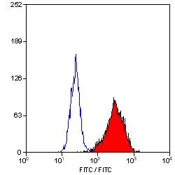 FACS analysis of HUT78 cells using GTX11155 CD90 antibody [F15-42-1] (FITC).