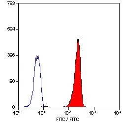 FACS analysis of human peripheral blood granulocytes using GTX11207 Leukotriene B4 Receptor antibody [202/7B1] (FITC).