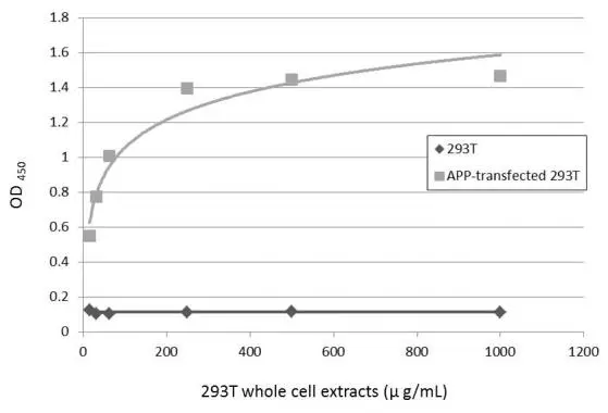 Various whole cell extracts (30 ug) were separated by 7.5% SDS-PAGE,and the membrane was blotted with APP antibody (GTX112677) diluted at 1:500.