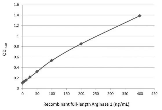 Sandwich ELISA detection of recombinant full-length Arginase 1 protein using GTX113131 as capture antibody at concentration of 5 μg/mL and GTX634218 as detection antibody at concentration of 1 μg/mL. Mouse IgG antibody (HRP) (GTX213111-01) was diluted at 1:10000 and used to detect the primary antibody.