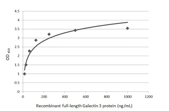 Sandwich ELISA detection of recombinant full-length Galectin 3 protein using GTX635156 as capture antibody at concentration of 5 μg/mL and GTX113486 as detection antibody at concentration of 1 μg/mL. Rabbit IgG antibody (HRP) (GTX213110-01) was diluted at 1:10000 and used to detect the primary antibody. Sandwich ELISA detection of recombinant full-length Galectin 3 protein using GTX635156 as capture antibody at concentration of 5 μg/mL and GTX113486 as detection antibody at concentration of 1 μg/mL. Rabbit IgG antibody (HRP) (GTX213110-01) was diluted at 1:10000 and used to detect the primary antibody.