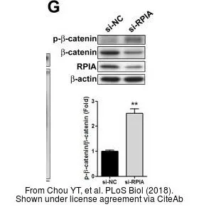 The data was published in the journal PLoS Biol in 2018.PMID: 29337987 The data was published in the journal PLoS Biol in 2018.PMID: 29337987