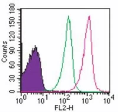 FACS analysis of 10? human lymphocytes using GTX12120 TLR8 antibody [44C143]. Red : Primary antibody Green : isotype control Shaded histogram : cell only Antibody amount : 1 ug