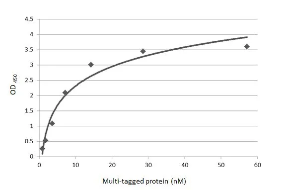 Indirect ELISA analysis was performed by coating the plate with recombinant Multiple Tags Positive Control ( 6xHis-MBP-DDDDK-V5-HSV-HA-T7-Myc-S) (GTX130342-pro) (57.14-0.89 nM). Coated protein was probed with c-Myc antibody [9E10] (GTX20032) (1 μg/mL). Goat antibody Mouse IgG antibody (HRP) (1:10000) was used to detect the bound primary antibody.
